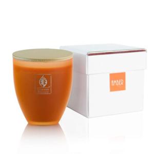 Amber Precious Glass With Lid 255g Scented Candle
