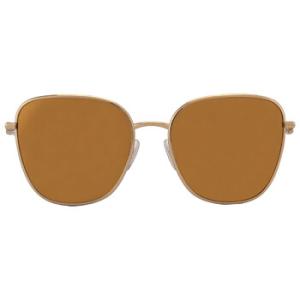 Brown Mirror Gold Butterfly Sunglasses DG2293 027P