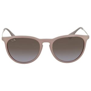 Erika Classic Brown and Violet Gradient Sunglasses