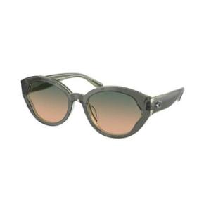 Green Beige Gradient Oval Sunglasses HC8364U 574613