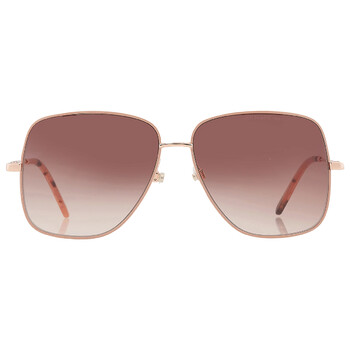 Brown Gradient Butterfly Sunglasses MARC 619S 0BKUHA