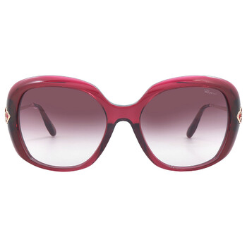 Brown Gradient Butterfly Sunglasses SCH314S 06F6