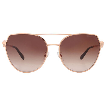 Brown Gradient Butterfly Sunglasses SCHC87S 08FC