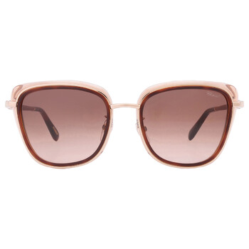 Brown Gradient Butterfly Sunglasses SCHD40S 0300