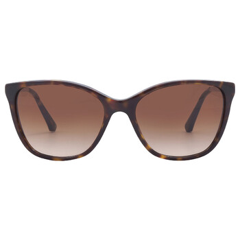 Brown Gradient Cat Eye Sunglasses EA4025 502613