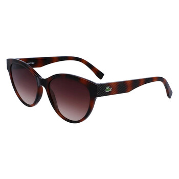 Brown Gradient Cat Eye Sunglasses L983S 240