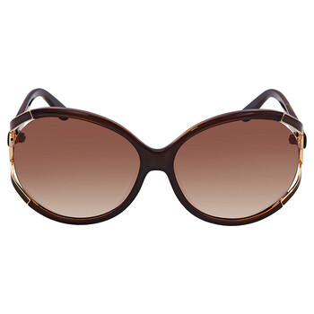 Brown Gradient Round Sunglasses SF600S 220