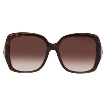 Brown Gradient Square Sunglasses SCH288S 0722