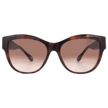 Brown Square Sunglasses SCH287S 01AY