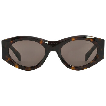 Dark Brown Oval Sunglasses PR 20ZS 2AU06B