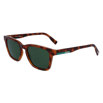 Green Square Sunglasses L987S 240