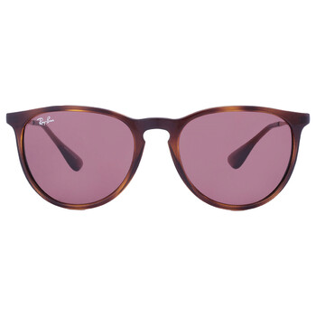 RayBan Erika Copper Dark Violet Classic Round Sunglasses RB417163917554