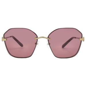 Bordeaux Irregular Sunglasses TY6081 329769