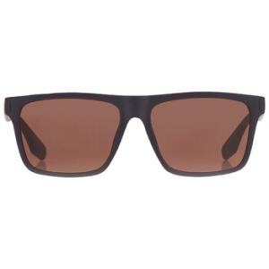 Brown Browline Sunglasses CK20521S 410