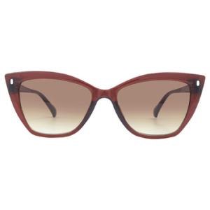 Brown Gradient Butterfly Sunglasses CK22551S 210