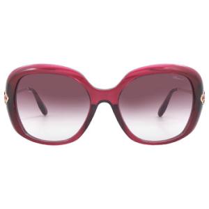 Brown Gradient Butterfly Sunglasses SCH314S 06F6