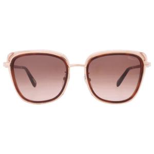 Brown Gradient Butterfly Sunglasses SCHD40S 0300