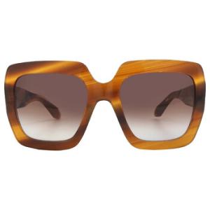 Brown Gradient Butterfly Sunglasses SHN636 091Z