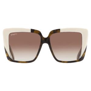 Brown Gradient Sport Sunglasses SF1060S 341