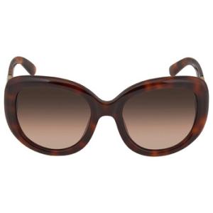 Brown Oval Sunglasses SF727S 214