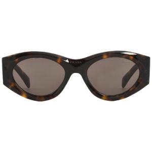 Dark Brown Oval Sunglasses PR 20ZS 2AU06B