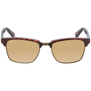 Kawika HCL Bronze Square Sunglasses H25716C
