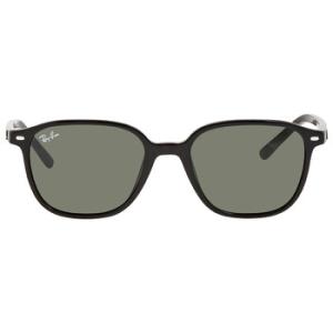 Leonard Green Square Sunglasses RB2193 90131