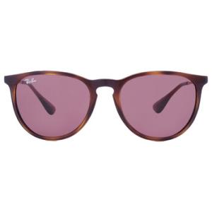RayBan Erika Copper Dark Violet Classic Round Sunglasses RB417163917554