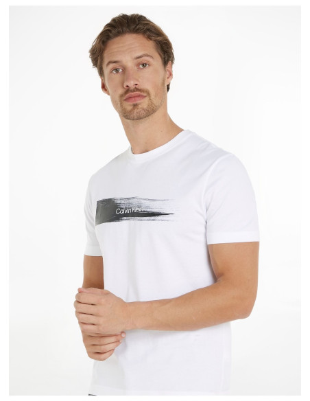 CALVIN KLEIN - BRUSH LOGO T-SHIRT