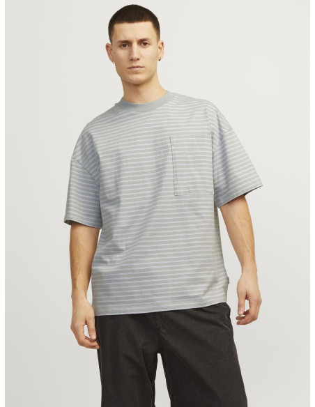 Jack & Jones - JCOTANICAL STRIPE TEE SS CREW NECK