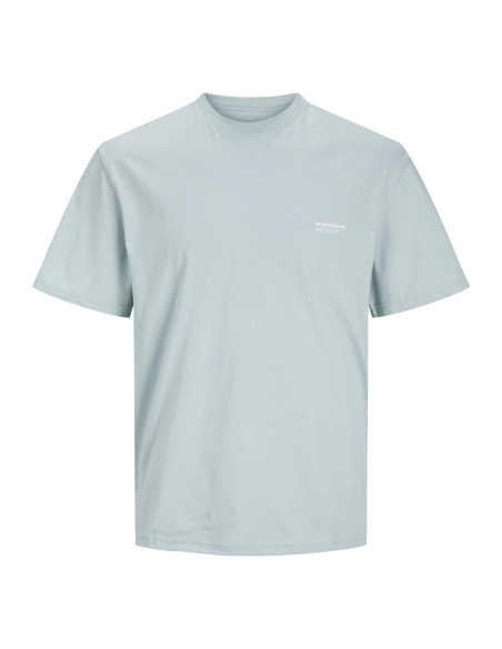 Jack & Jones - JORVESTERBRO BACK TEE SS CREW NECK SN