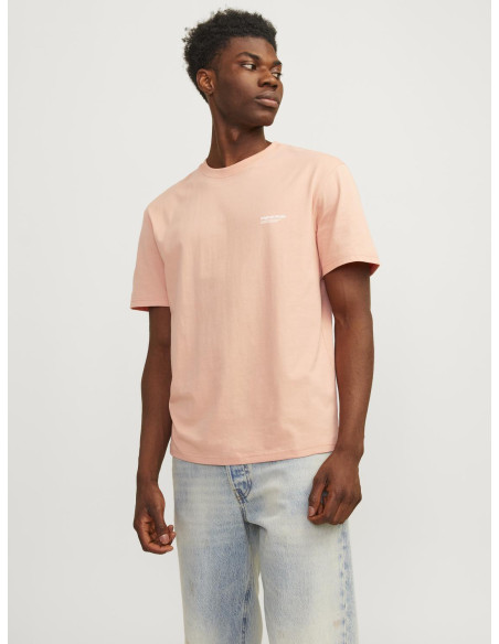 Jack & Jones - JORVESTERBRO BACK TEE SS CREW NECK SN