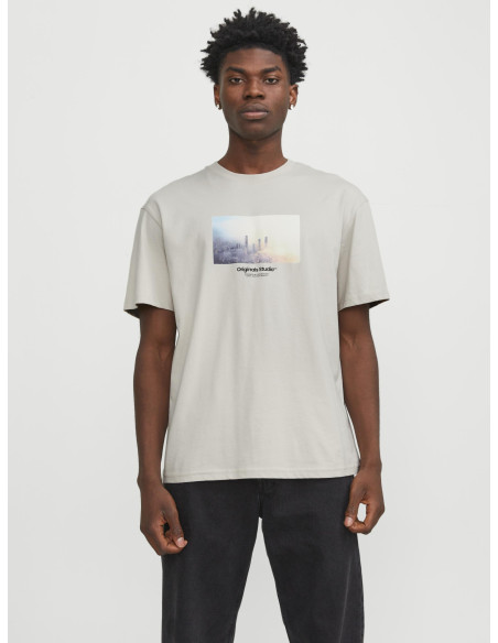 Jack & Jones - JORVESTERBRO PICTURE TEE SS CREW NECK LN