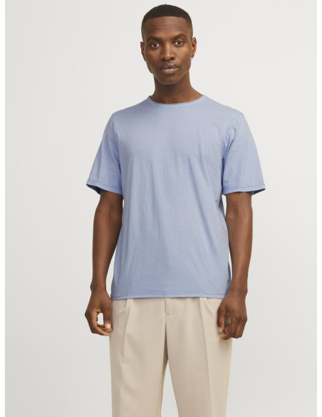 Jack & Jones - JPRBLURYDES SS TEE