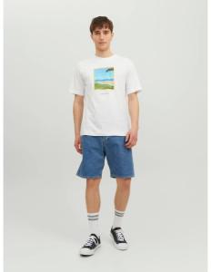 Jack & Jones - JORTULUM LANDSCAPE TEE SS CREW NECK