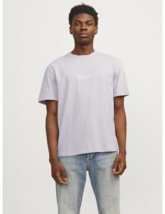 Jack & Jones - JORVESTERBRO TEE SS CREW NECK NOOS