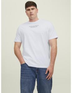 Jack & Jones - JPRBLUARCHIE SS TEE CREW NECK PLS