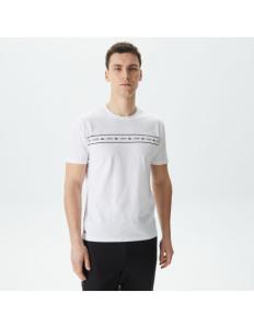 Lacoste - Lacoste Mens T-shirt