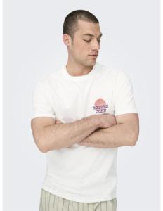 ONLY & SONS - ONSKYE REG PHOTO SS TEE