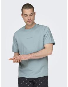ONLY & SONS - ONSLEVI LIFE REG TEXT SS TEE NOOS