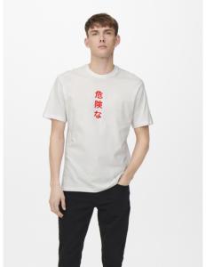 ONLY & SONS - ONSLUNG REG SS TEE