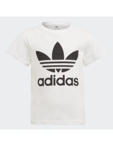 Adidas - TREFOIL TEE