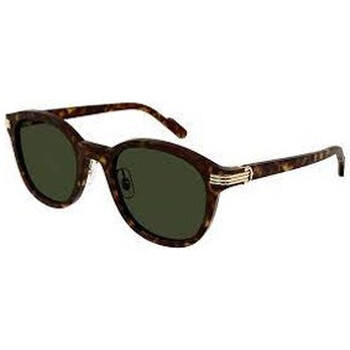 Green Oval Sunglasses CT0302S 006