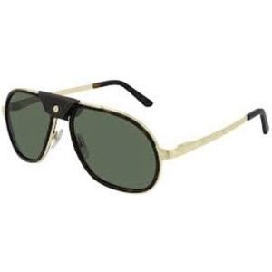 Polarized Green Pilot Sunglasses CT0241S 002