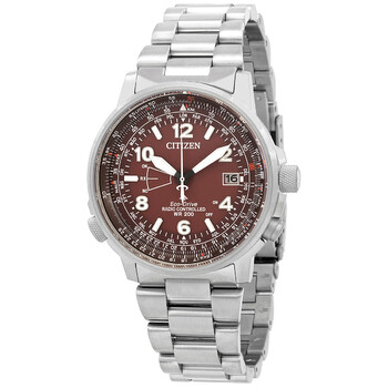 Perpetual World Time Watch CB024185X