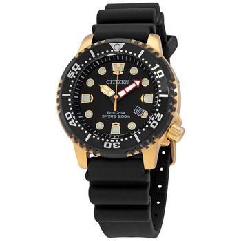Professional Diver Black Dial Watch BN015206E