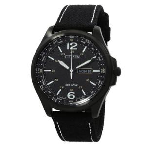 Classic EcoDrive Black Dial Watch AW011503E