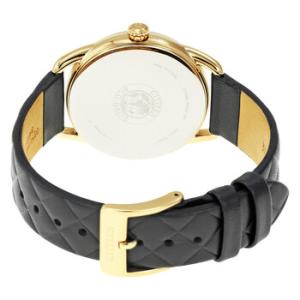 Drive Black Dial Watch FE608313E