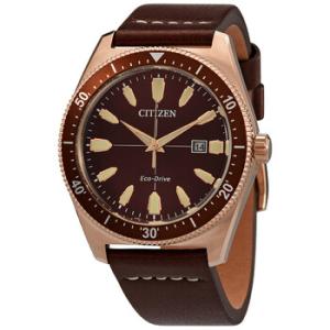 EcoDrive Brown Dial Brown Leather Watch AW159306X