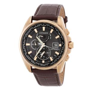 Perpetual Alarm World Time EcoDrive GMT Black Dial Watch AT912313E